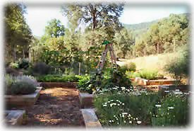 The garden at Wild Oak Farm
