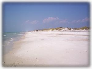 Voted #1 beach in USA! Pet Friendly, uncrowded!
