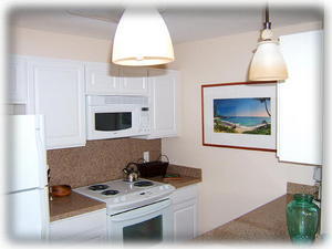 Brand New Kitchen Appliances