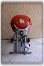 Electronic BBQ