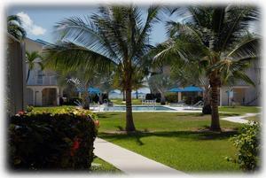 View from Patio
