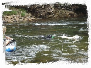 Dogs love to swim and run here.
