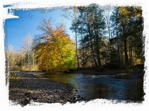 Upstream view from the rocky beach