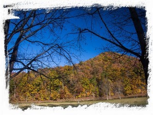 View from the bench on the covered front porch