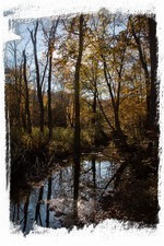Gentle sounds of the stream about 30 feet behind the house.