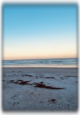 The Beach is Calling!