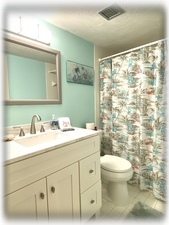 Guest bathroom