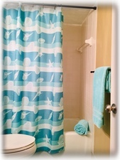 master bathroom tub/shower